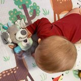 Woopie interaktivna plišana igračka - pas zeleni | shoptok.hr