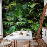  Foto tapeta - Sunny Jungle 300x210 | shoptok.hr