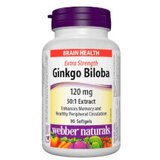 Webber Naturals Ginkgo Biloba 120mg | Eponuda.ba