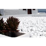 Olimp Sport Kamen dekorativni 25-40mm beli 25kg | ePonuda.com