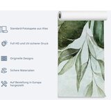 Artgeist Fototapeta Cockatoo In The Garden, 300x210cm | Shoptok.si