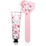 Accentra Essential Botanicals Hand & Nail Cream darilni set za roke in nohte 3 kos Cene
