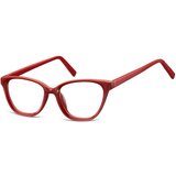 Berkeley Naočare AC394E | ePonuda.com