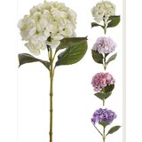  HORTENZIJA 65CM 318800150 | Eponuda.ba