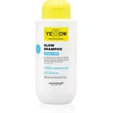 Hydra Care Glow Shampoo vlažilni šampon za vse tipe las 500 ml