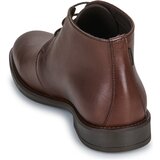 Carlington LOUAN Smeđa | shoptok.hr