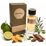 Salvatore Ferragamo Punta Ala parfumirana voda unisex 100 ml | Shoptok.si