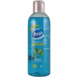 Fresh šampon za kosu breza 1L cene