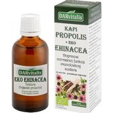 DARvitalis propolis+ eko ehinacea 50ml Cijene