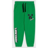 Sinsay Jogger donji dio trenirke Minecraft | shoptok.hr