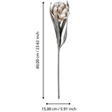Eglo 428125 - Veštačka biljka MOLAVE, 60 cm, bež | Eponuda.com