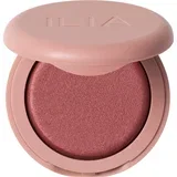 Focus Blurring Blush - Wonder