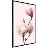  Poster - Blooming Magnolias III 30x45 Cijene