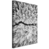 Artgeist SLIKA NA PLATNU | Shoptok.si