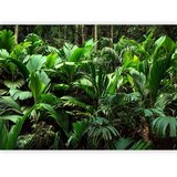  Foto tapeta - Freshness of the Jungle 441x315 | shoptok.hr