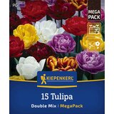 KIEPENKERL Mega pakiranje tulipanov "Double Mix" - 15 k. Cene