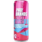 PRO BRANDS aminokiseline aminopro 24 x 330 ml malina | Eponuda.com