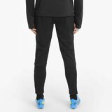 Puma TEAM LIGA TRAINING PANTS Muške hlače za vježbanje, crna, veličina | shoptok.hr