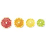 Solis Citrus Press Station ožemalnik citrusov | Shoptok.si