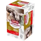 Varčno pakiranje Integra Protect Adult Urinary struvitni kamni 24 x 100 g - S teletino