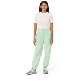 Dickies DK0A4YHD | shoptok.hr