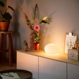 Philips 40904/31/P9-LED RGB prigušiva stona lampa Hue FLOURISH 1xE27/9,5W/230 | Eponuda.com
