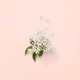 Gucci Bloom Edp | ePonuda.com
