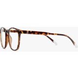 Barner Dalston/Glossy Tortoise Zaštitne naocare ( DGT ) | ePonuda.com