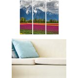 Wallity MDF1043142 multicolor decorative mdf painting (3 pieces) Cene
