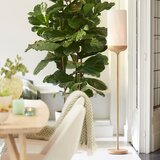 Light & Living Stoječa svetilka v naravni barvi s tekstilnim senčilom (višina 159 cm) Dania – | Shoptok.si
