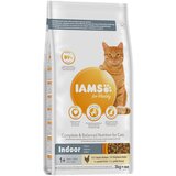 IAMS for Vitality Cat Adult Indoor piščanec - 3 kg Cene