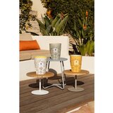 Baobab Collection Folia Garrigue dišeča sveča 16 cm | Shoptok.si