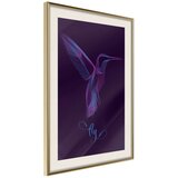  Poster - Fluorescent Hummingbird 20x30 | shoptok.hr