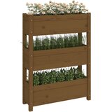  Sadilica smeđa boja meda 77 x 25 x 104,5 cm od masivne borovine | Eponuda.ba