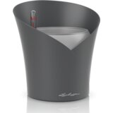 LECHUZA Okrasna posoda Orchidea - Škrlatno siva mat | Shoptok.si