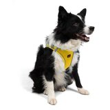 Paws & Whiskers Am za pse Air Mesh Yellow 2XS | Eponuda.com