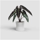 Artevasi Keramičen cvetlični lonec ø 20 cm Diana – | Shoptok.si