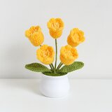 INF Ročno izdelan okras v lončku iz kvačkane šmarnice Yellow, (21779030) | Shoptok.si