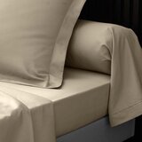 Douceur d intérieur Svetlo rjava napenjalna rjuha iz bombažnega perkala 160x200 cm Percaline – | Shoptok.si