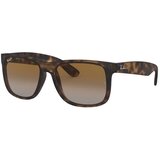 Ray-ban Muške Sunčane naočale Ray Ban RB4165 P Brown | shoptok.hr