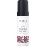 VIANEK Gentle Foaming Face Wash | shoptok.hr