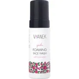Gentle Foaming Face Wash