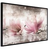  Poster - Picked Magnolias 60x40 | shoptok.hr