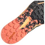 Adidas Tek & Trail Terrex Agravic Flow 2.0 Gtx pisana | Shoptok.si