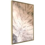  Poster - Monstera of Dreams 40x60 Cijene