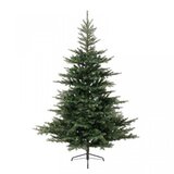 Olimp Sport Novogodišnja jelka Grandis fir 120cm-91cm Everlands 68.1449 | ePonuda.com