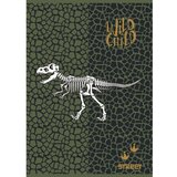 STREET Zvezek Dinosaurs A5 črte z robom | Shoptok.si