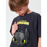 Sinsay Komplet od žerseja How to train your dragon | shoptok.hr