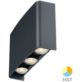 Zidna rasvjeta LED 6x1W 480lm 3CCT 3000K/4000K/6500K IP65 ANTRACIT VECTOR