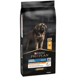 Purina PRO PLAN Everyday Nutrition Large Robust Adult Chicken - hrana za odrasle pse velikih rasa robusne građe sa piletinom (14kg) Cene